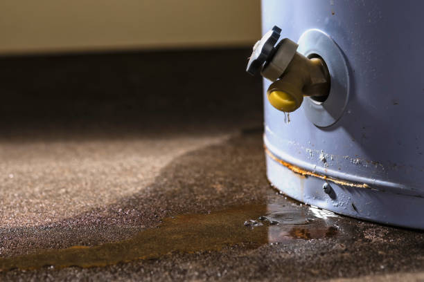 Best Residential water damage restoration  in Jackson, WI