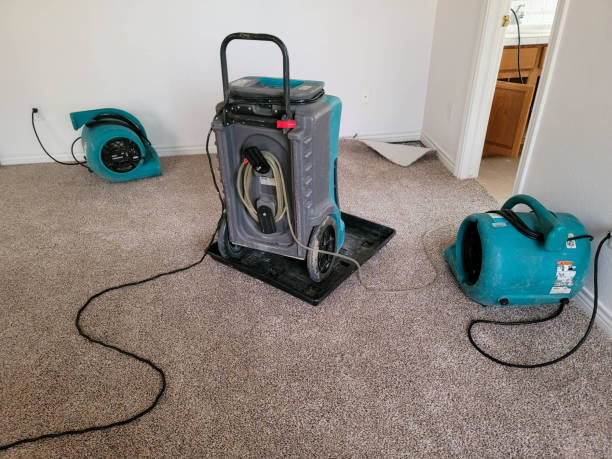 Best Residential water damage restoration  in Jackson, WI