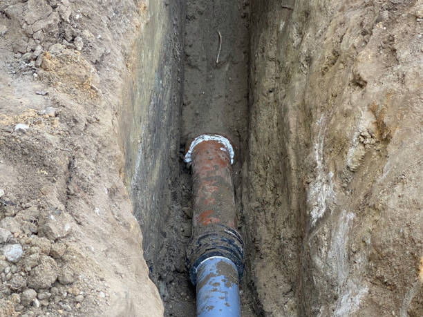 Best Flood damage cleanup  in Jackson, WI
