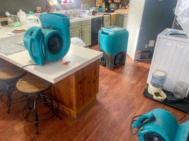 Best Professional water damage repair  in Jackson, WI