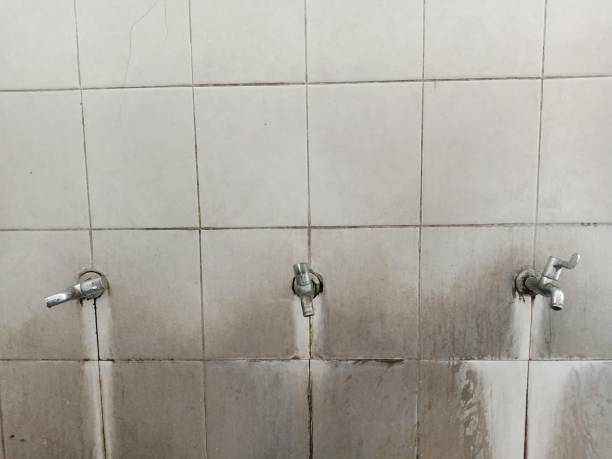 Best Water damage mitigation services  in Jackson, WI