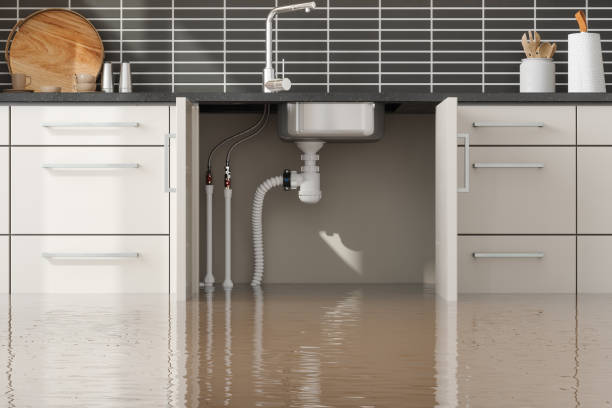Best Fire Damage Restoration  in Jackson, WI