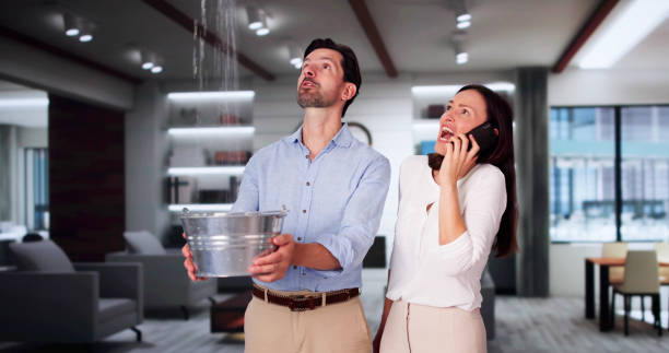 Best 24/7 water damage repair  in Jackson, WI