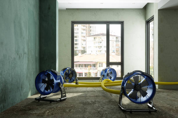 Professional Water damage restoration in Jackson, WI