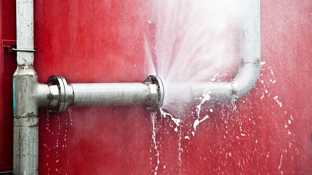 Best Flood restoration services  in Jackson, WI